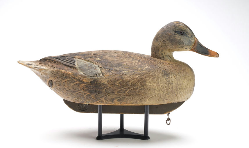 Ben Schmidt – Mallard Hen – 2025