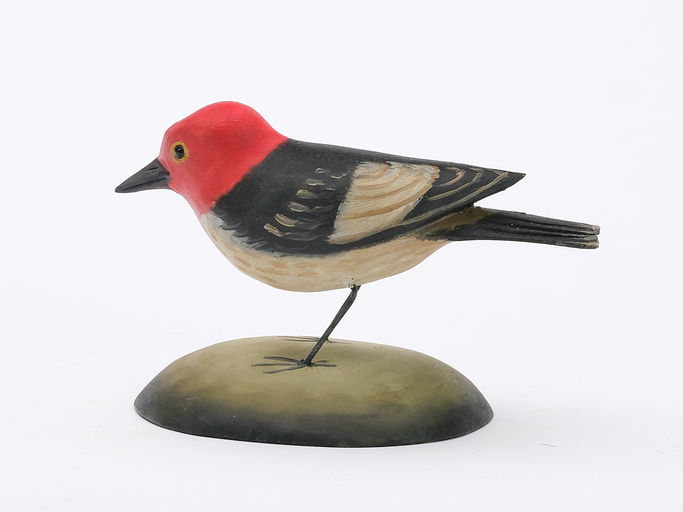 Frank Finney – Red headed woodpecker mounted to wooden – 2024