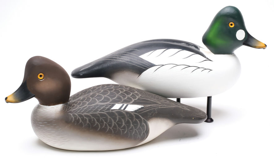 Charlie Joiner – Pair of Goldeneye – 2026