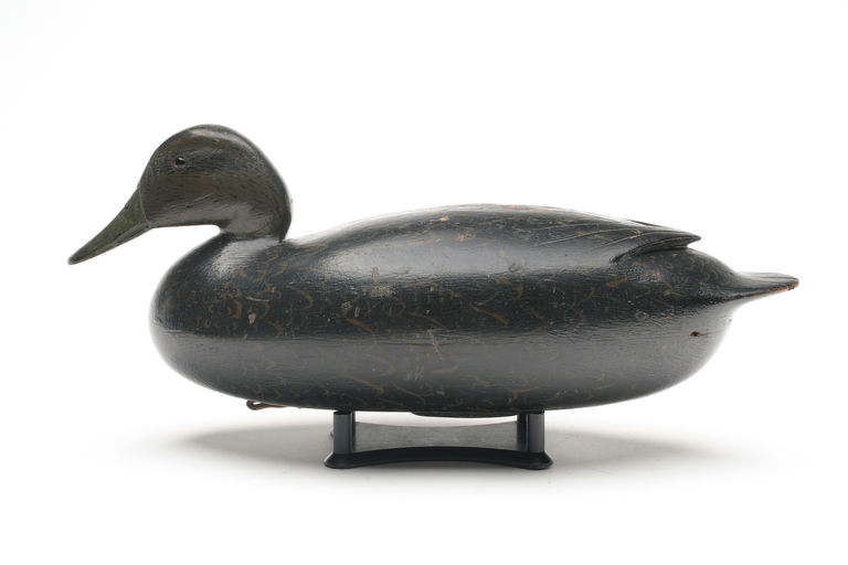 Joe King – Black Duck – 2026