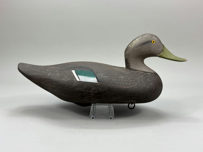 R. Madison Mitchell – Black Duck – 2026