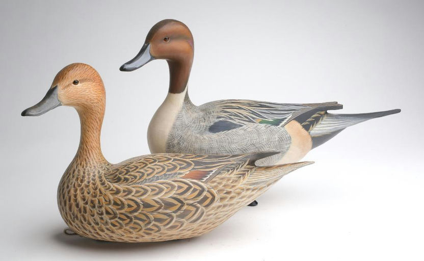 Ben A. Heinemann – Pintail – 2023