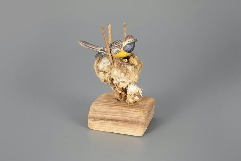 Elmer Crowell – The Dempsey-Chace Songbird in Nest with Egg – 2024