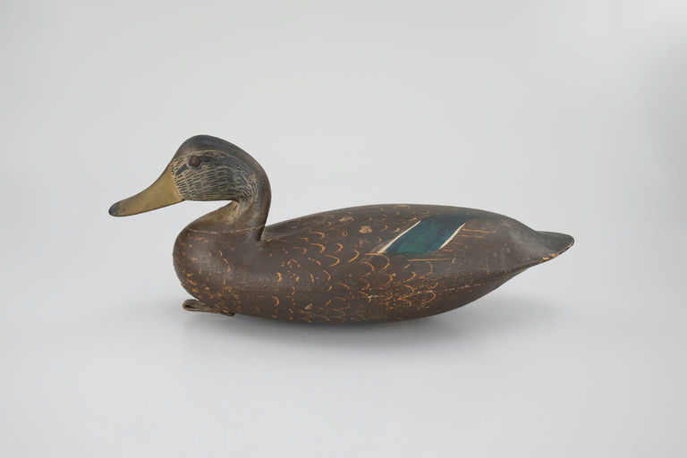 Charles Birch – Black Duck – 2026