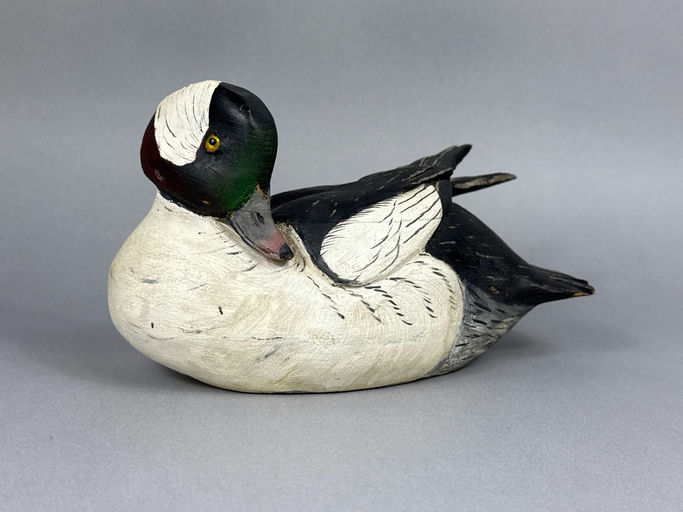 Grayson Chesser – Bufflehead – 2026