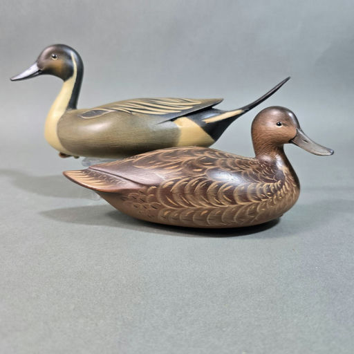 Sean Sutton – Pintail – 2026