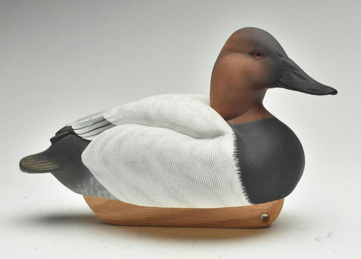 Tom Matus – Canvasback – 2023