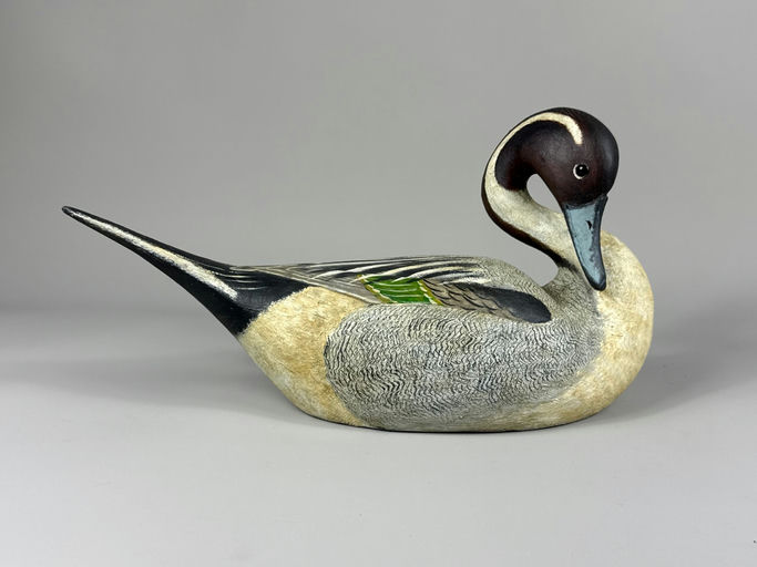 Reggie Birch – Pintail – 2026