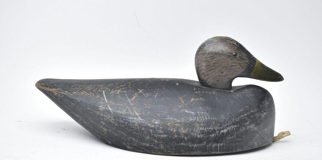 Joseph Lincoln – Black Duck – 2025