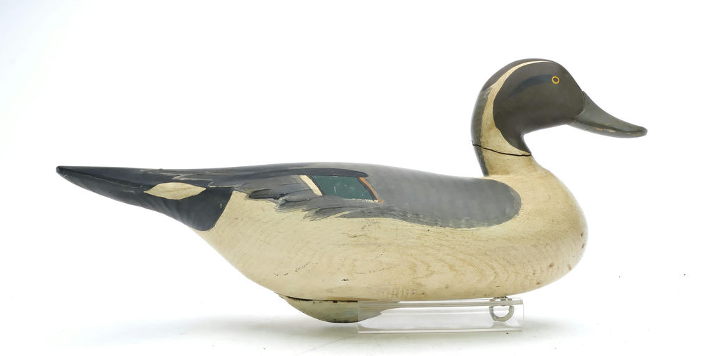 R. Madison Mitchell – Pintail – 2025