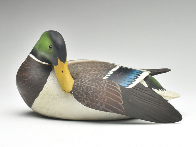 Ward Brothers – Decorative Preening Mallard – 2023