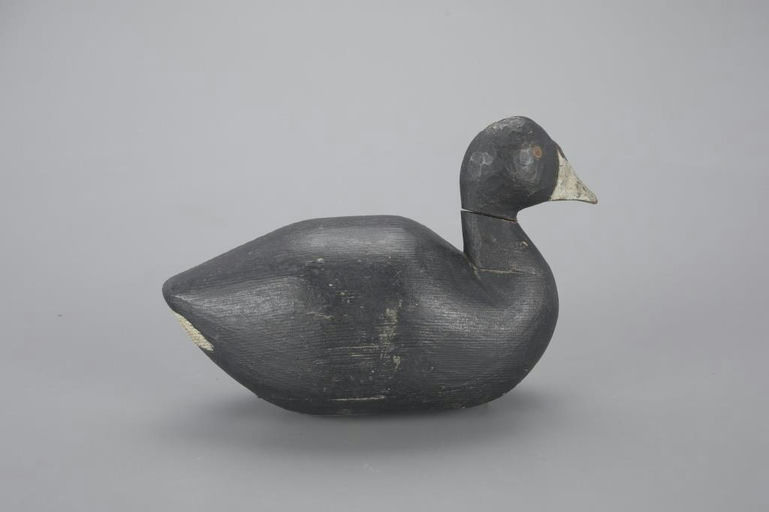 Fred Cutting – Early Hollow Coot – 2023