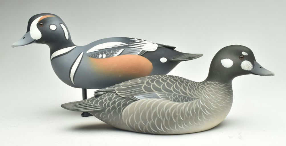 Oliver Lawson – Pair of Harlequin Duck – 2023
