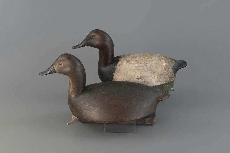 Ralph Reghi – Bullneck Canvasback Pair – 2025