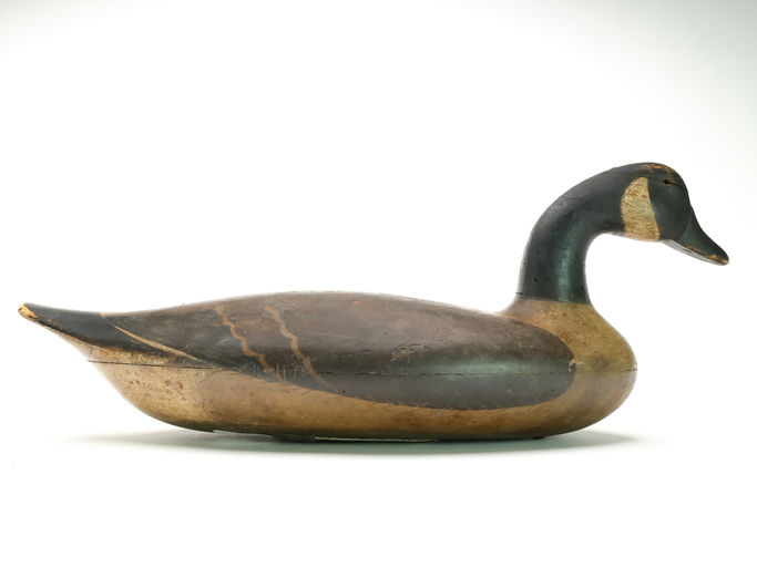John Blair, Sr. – Canada goose – 2025