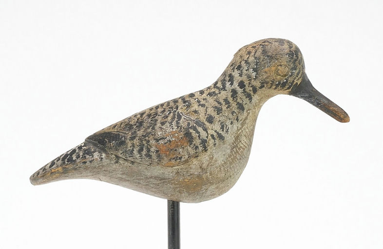 Reggie Birch – Sanderling – 2024