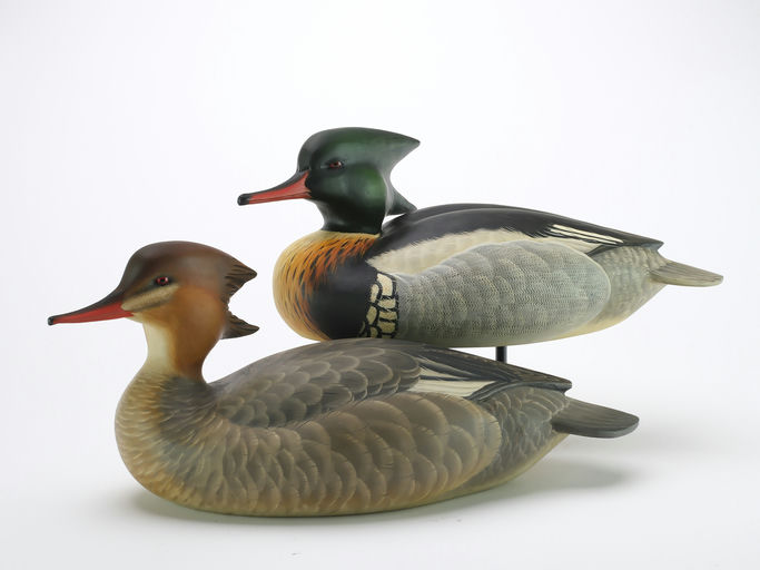 Ben A. Heinemann – Red-breasted Merganser – 2024