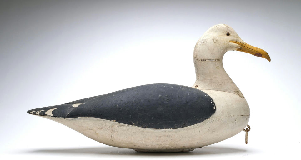 Frank Finney – Oversize Gull – 2026