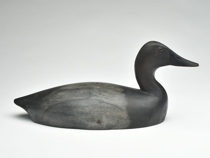 Thomas Chambers – Canvasback Drake – 2023