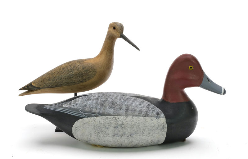 Harry V. Shourds – Yellowlegs – 2024
