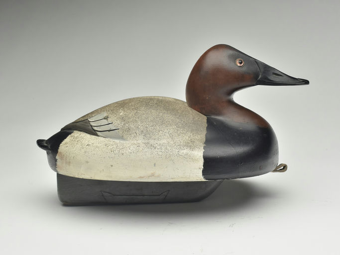 Ferdinand Bach – Canvasback Drake – 2023