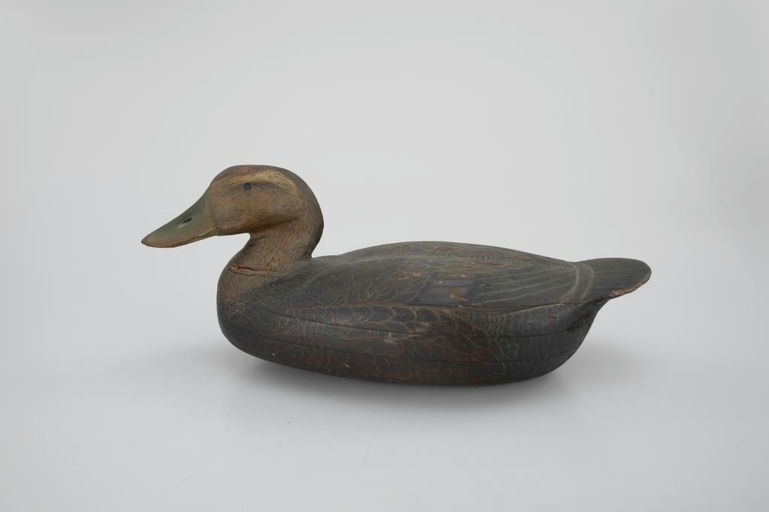 Roy H. Collins – Black Duck – 2026