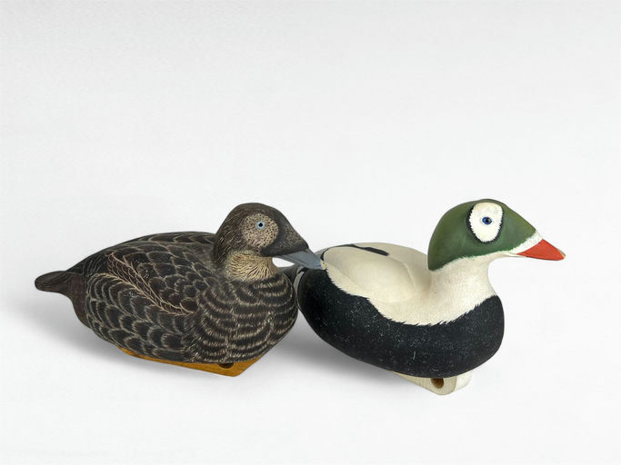 Les Worrell — Competition Spectacled Eider Pair