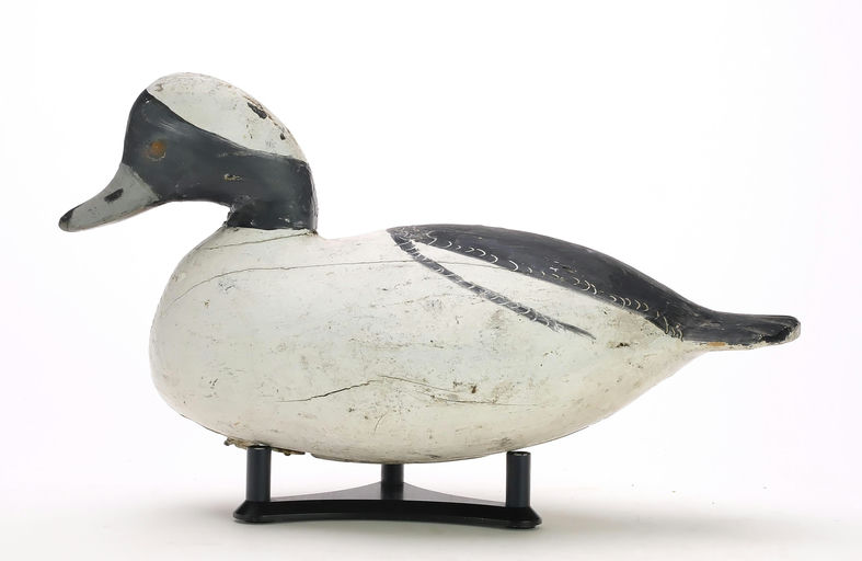 Ira Hudson – Bufflehead – 2024