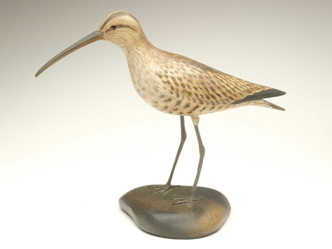 Frank Finney – Standing curlew – 2023