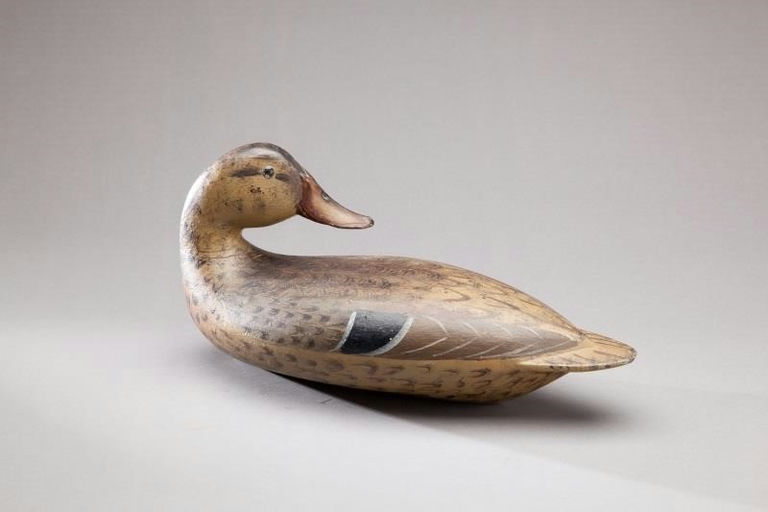 Robert Elliston – Preening Mallard Hen – 2013