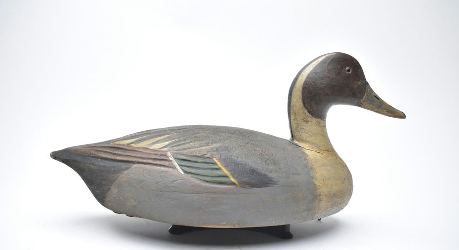 Ben Schmidt – Pintail – 2025