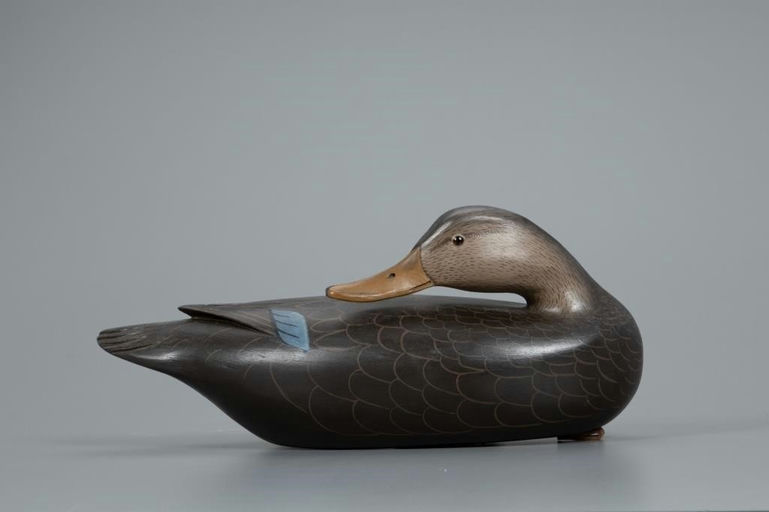 Clarence Fennimore – Preening Black Duck – 2020