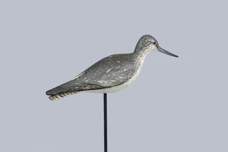 Christo Earnest – Common Greenshank – 2026