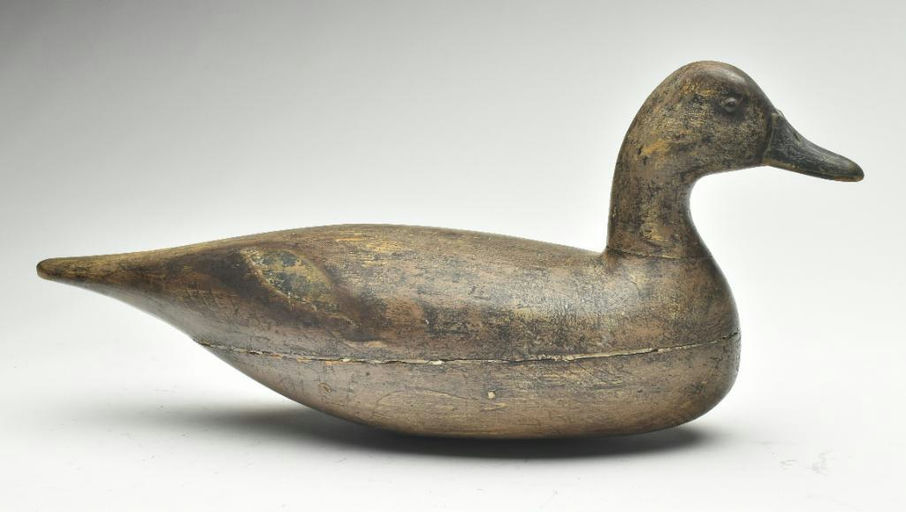 Harry V. Shourds – Pintail – 2023