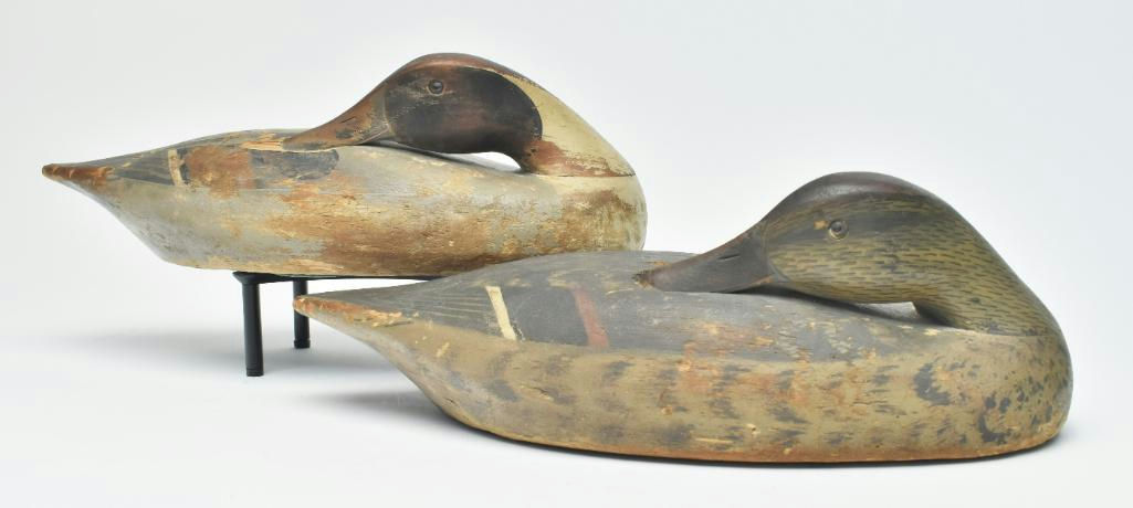 Wildfowler Decoy Company – Pair of Pintail – 2023