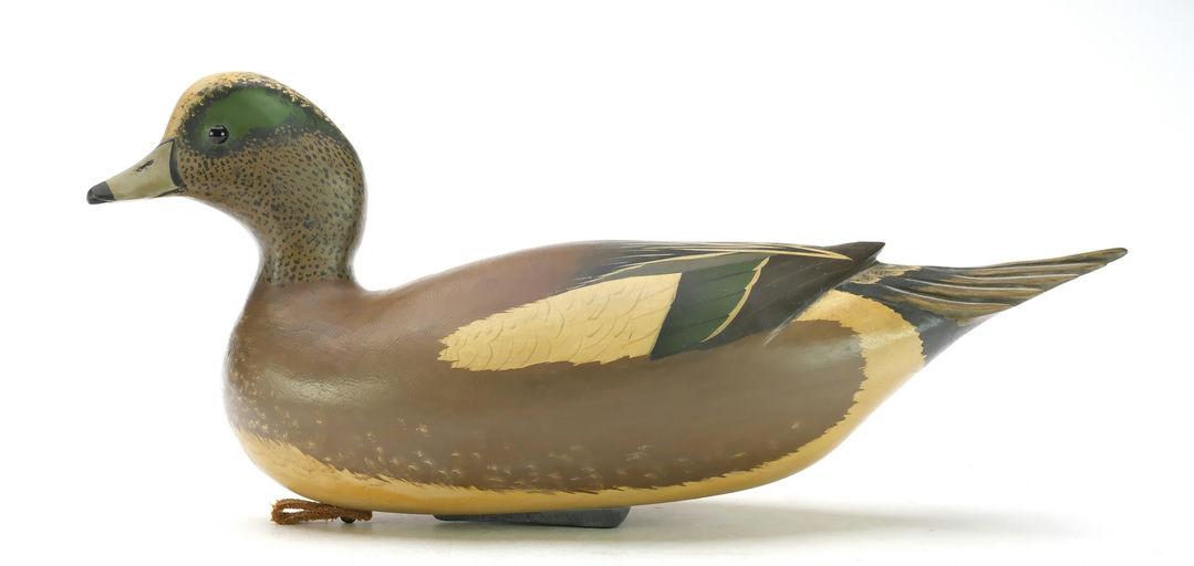 Bob White – Wigeon – 2025