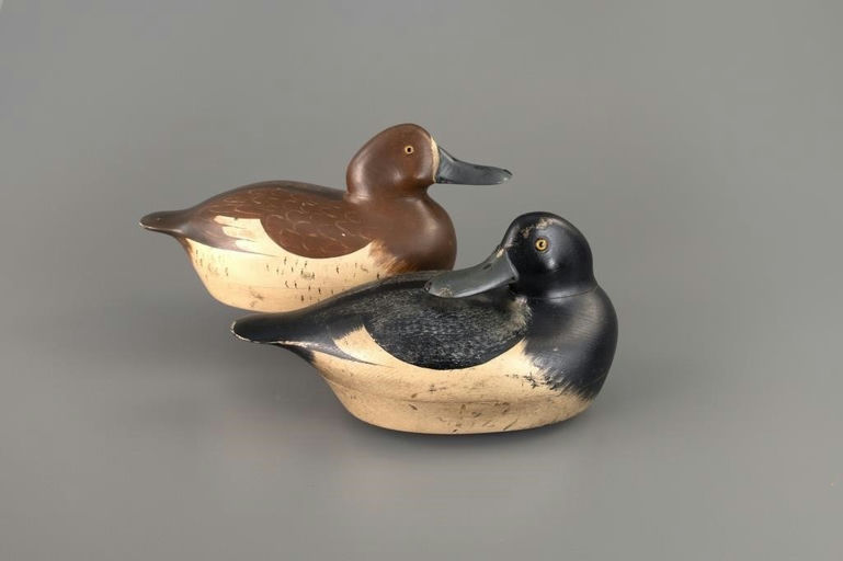 Paul Lipke – Broadbill Pair – 2025