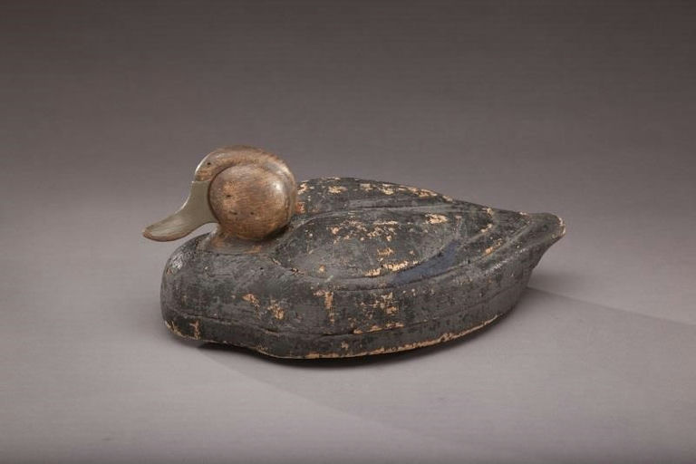 Elisha Burr – Cork Black Duck – 2011
