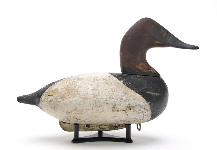 William Heverin – Canvasback – 2024