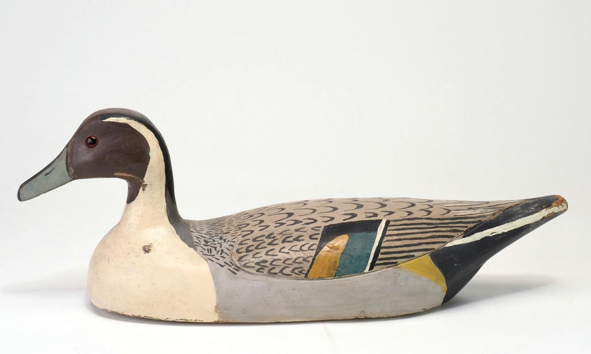John David Duplessis — Pintail Drake