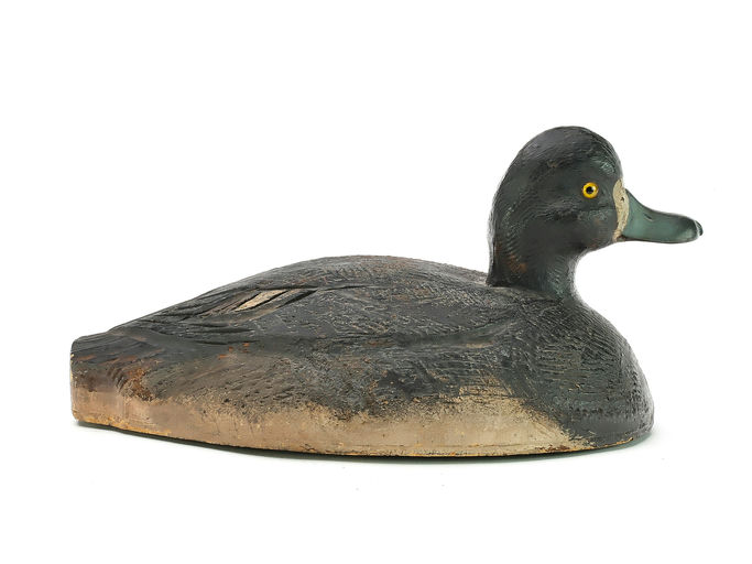 Tom Schroeder – Scaup – 2025
