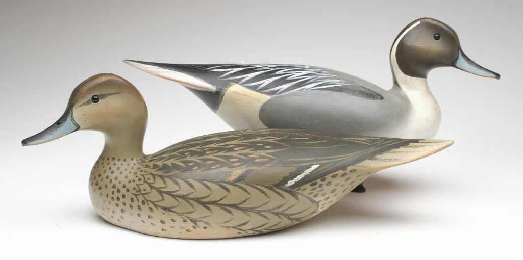 Oliver Lawson – Pair of Pintail – 2023