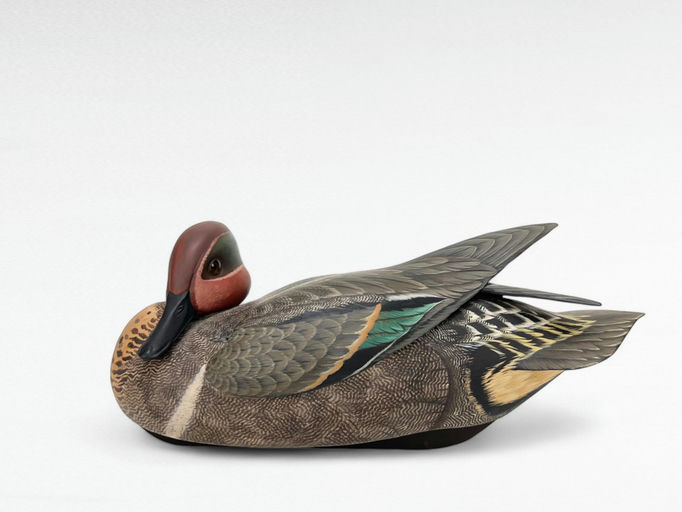 Keith Mueller – Preening Green-winged Teal Drake – 2024