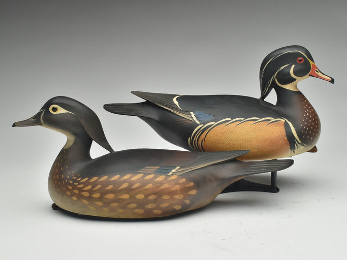 Bill Gibian – Pair of Wood Duck – 2023