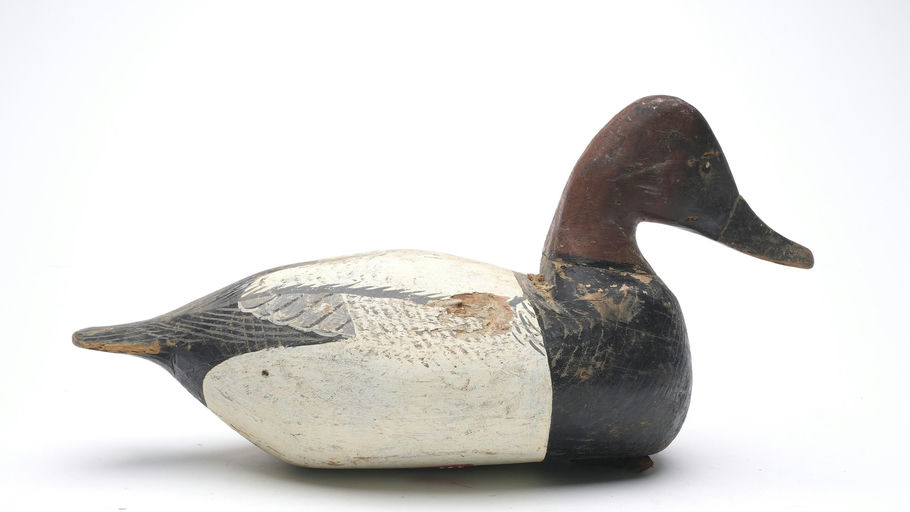 Miles Hancock – Canvasback – 2026