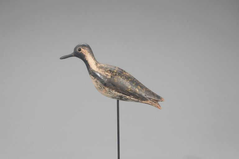 Joseph Lincoln – Golden Plover – 2021