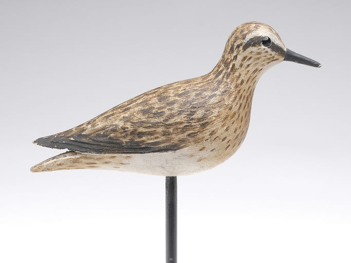 Elmer Crowell – Sandpiper – 2024