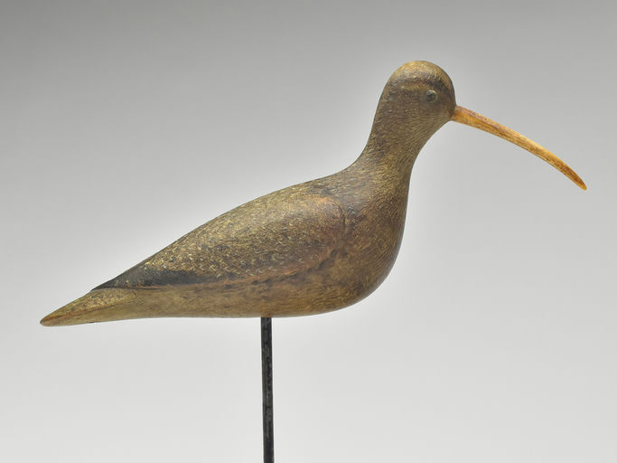 Mark McNair – Curlew – 2023
