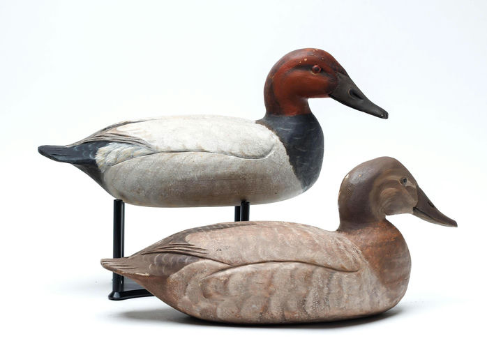 Davison B. Hawthorne – Canvasback – 2026