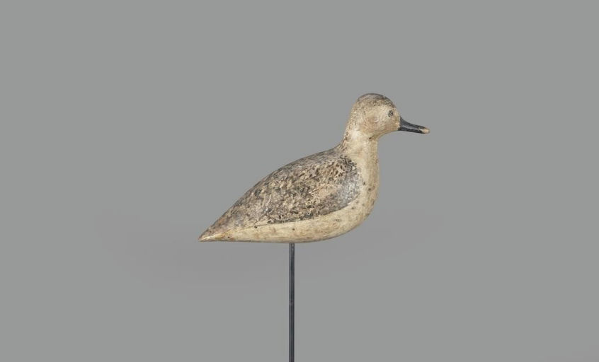 Harry V. Shourds – The O'Brien Shourds Winter-Plumage Plover – 2024